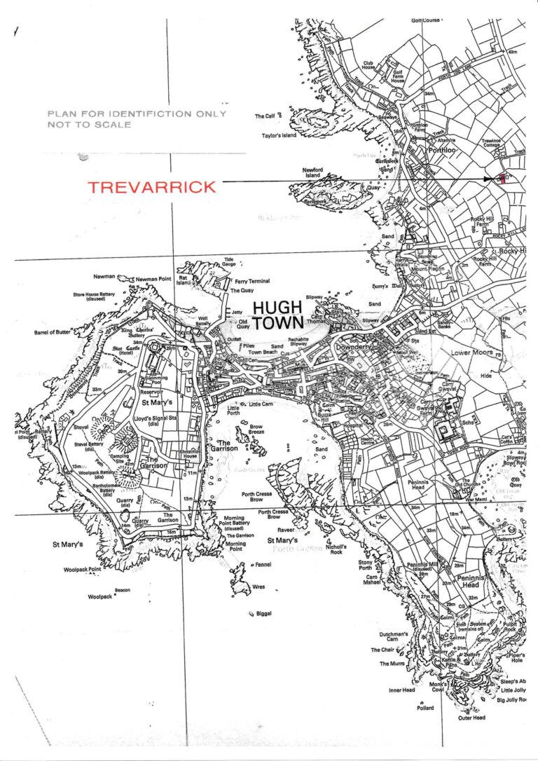 trevarrick location plan